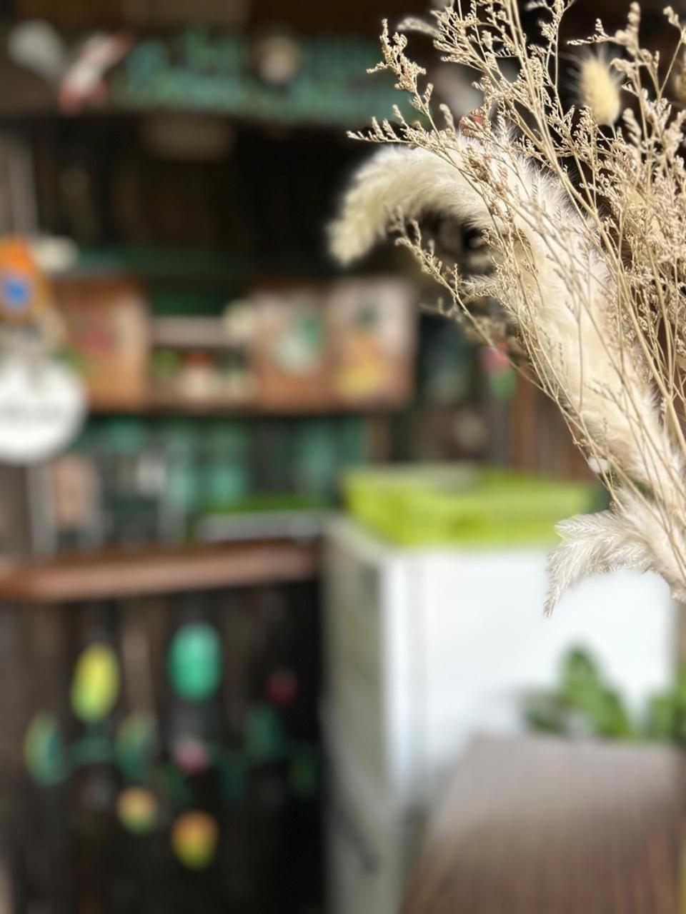 Hostel Rustico Marabi Tárcoles 외부 사진
