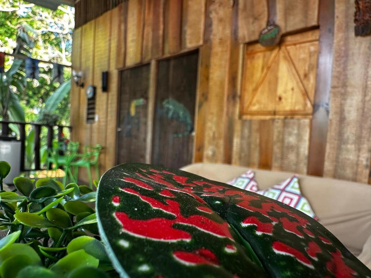 Hostel Rustico Marabi Tárcoles 외부 사진